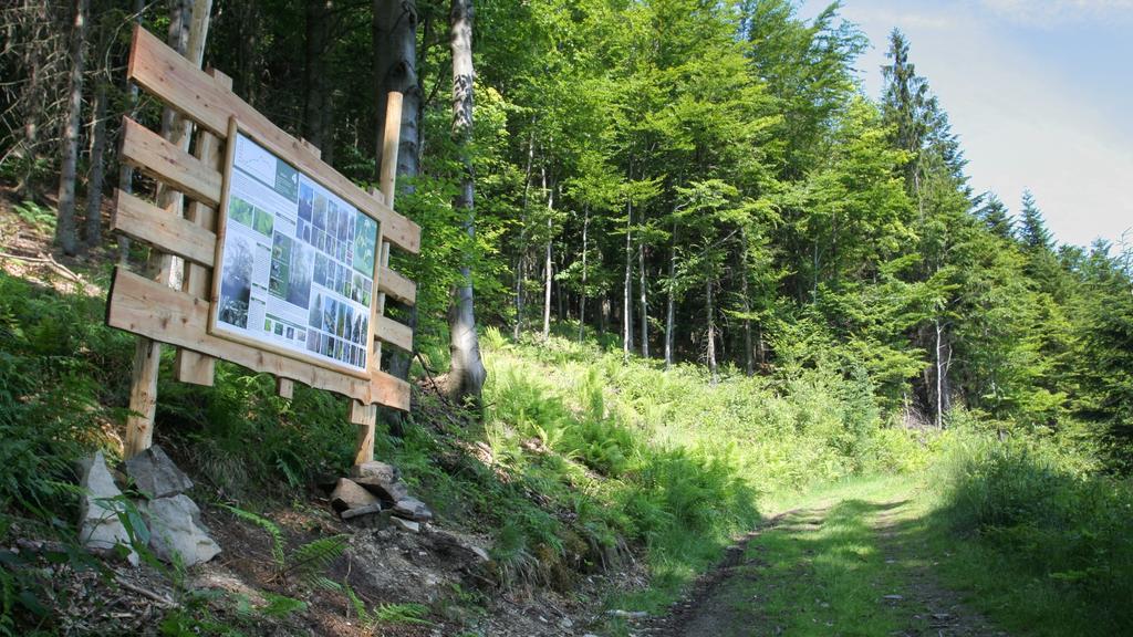 Pokoje W Oberzy Czarny Gron Rzyki Luaran gambar